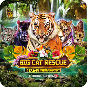 Big Cat Rescue Megaways